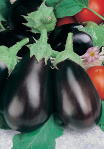 good varieties of eggplant