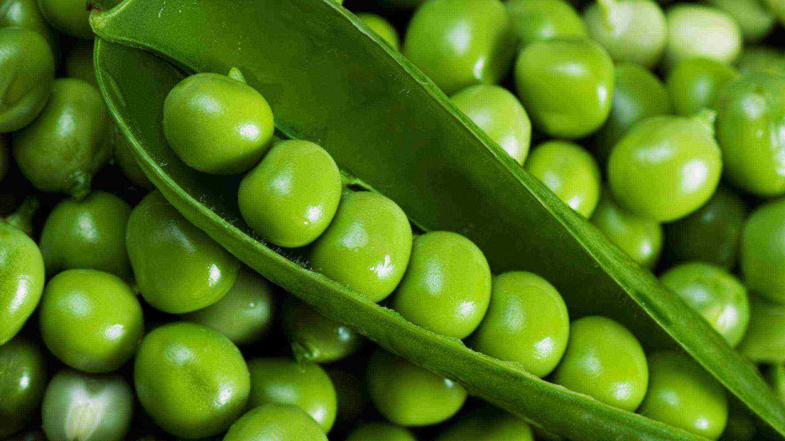 good varieties of peas