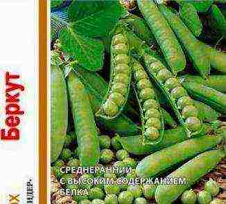 good varieties of peas