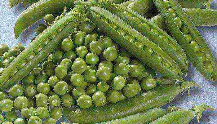 good varieties of peas