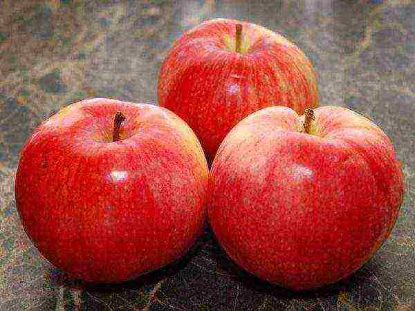 good varieties of apples