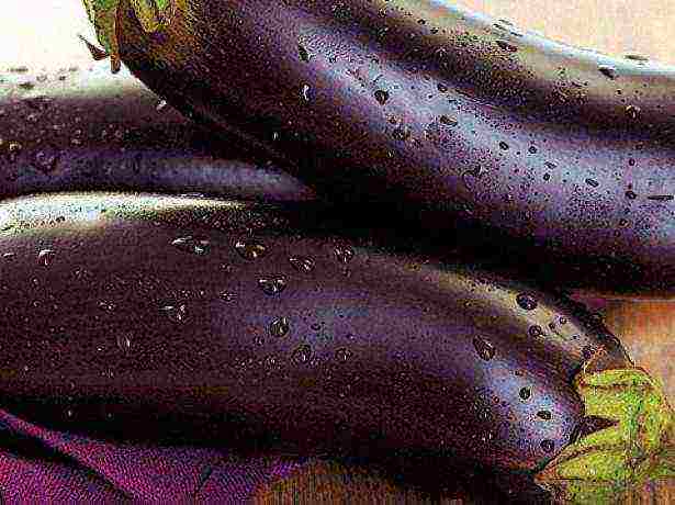 good grade eggplant