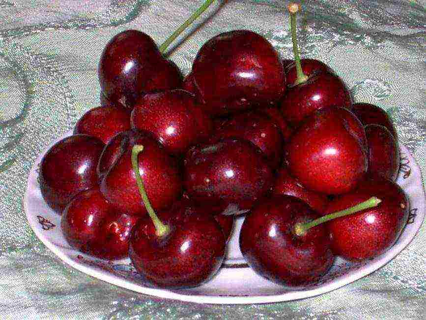 good variety of cherries