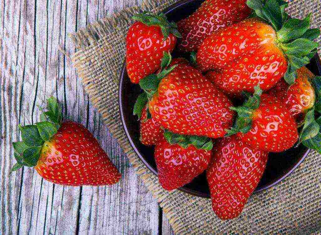 good variety of strawberries