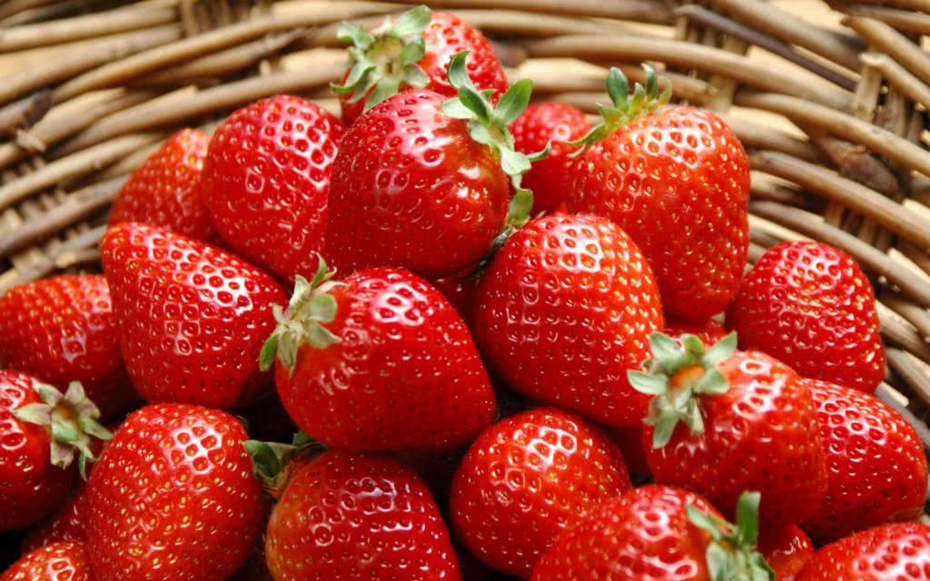 good variety of strawberries