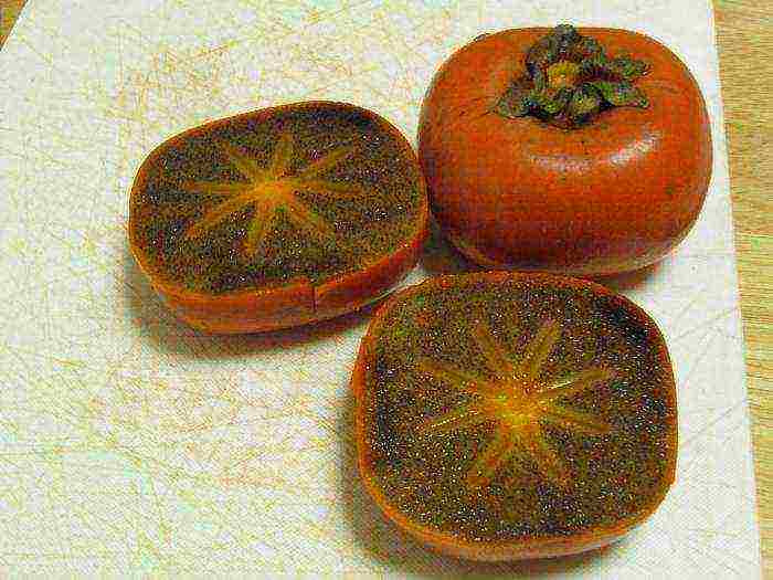 persimmon best varieties