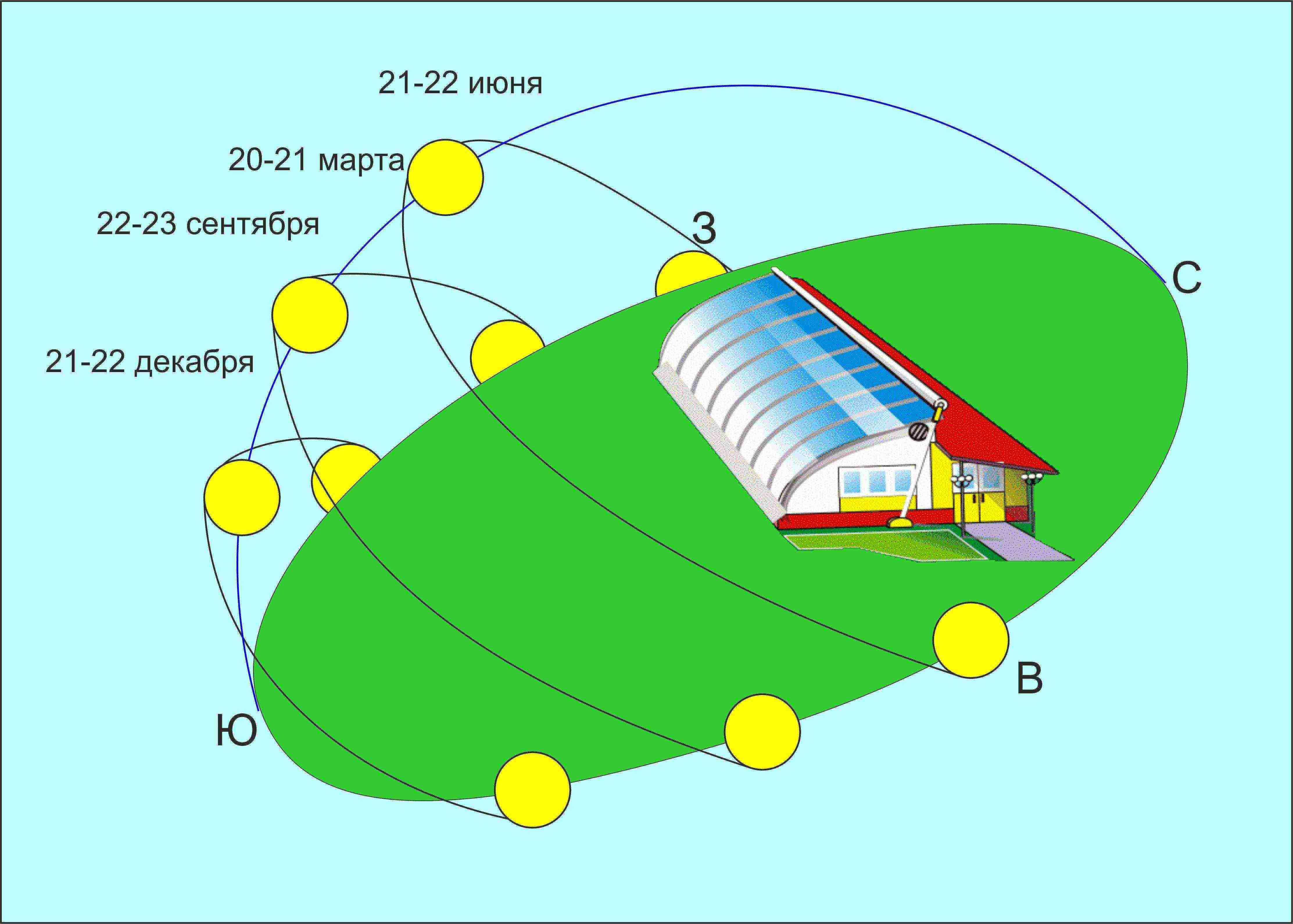 how to grow cucumbers in a greenhouse in the winter at home