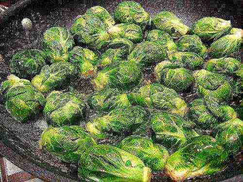 kung paano mapalago ang mga sprout ng Brussels sa bahay