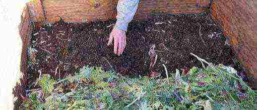 how to grow earthworms on an industrial scale