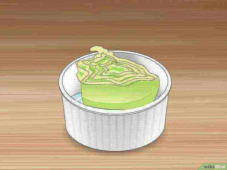 how to grow lettuce at home