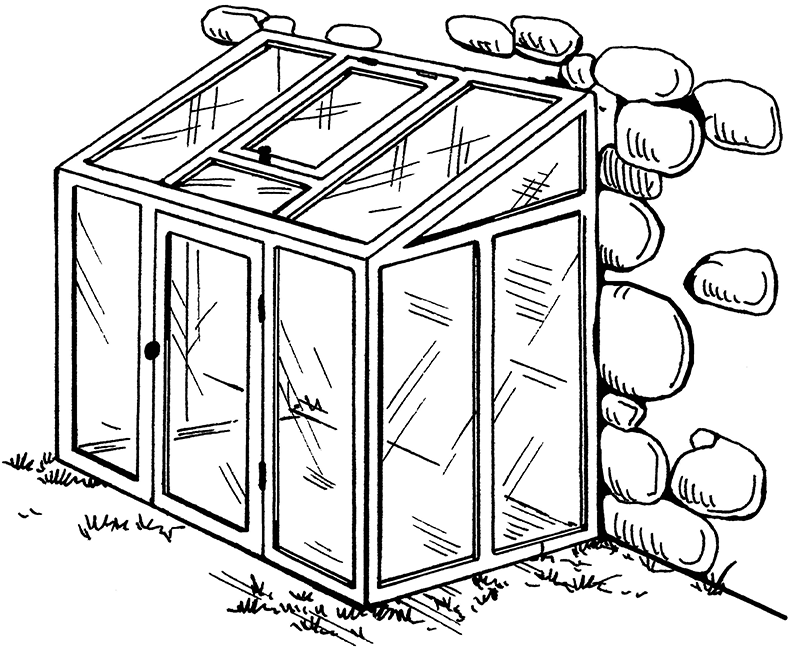 how to grow cucumbers in a polycarbonate greenhouse in winter