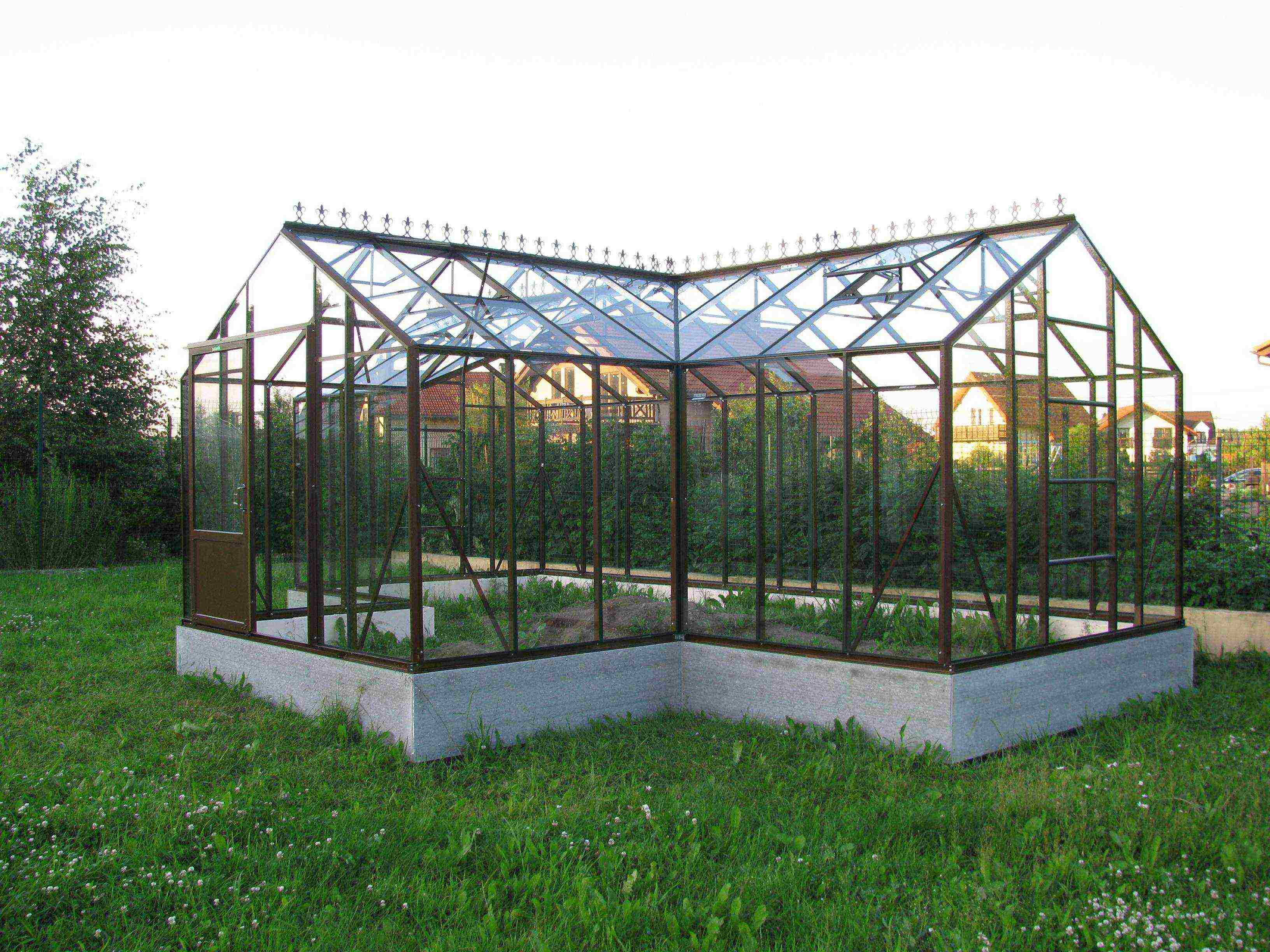 how to grow cucumbers in a polycarbonate greenhouse in winter