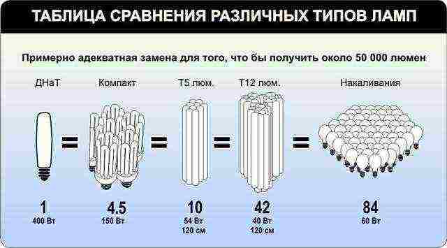 how to grow cucumbers in a polycarbonate greenhouse in winter