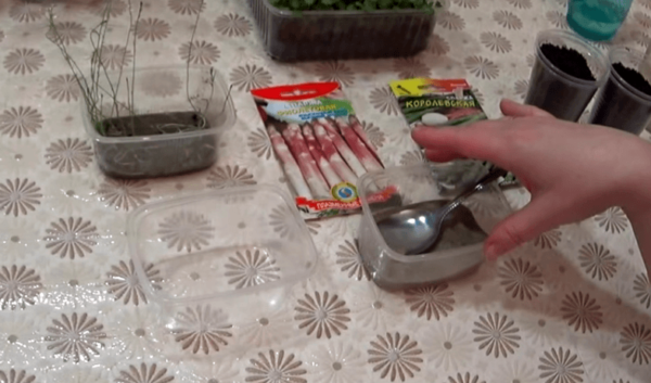 how to grow asparagus from seeds at home