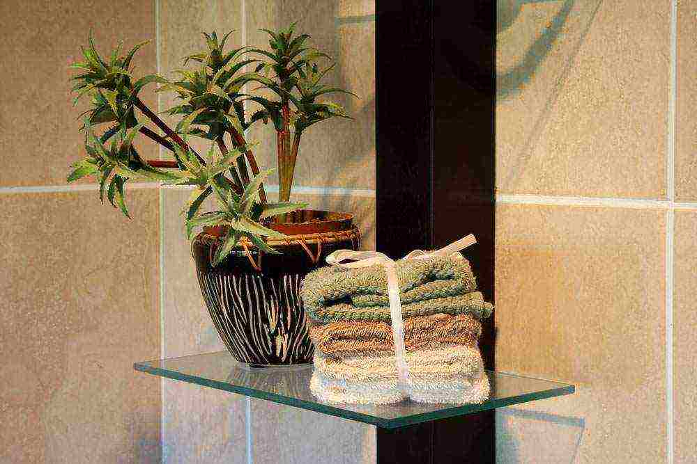 what plants can be grown in a bathroom without a window