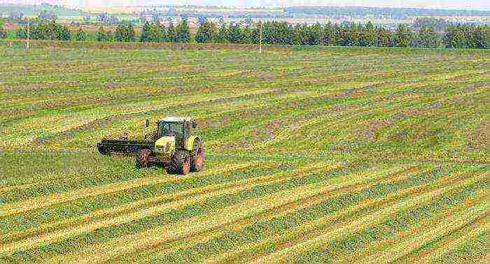 what crops are grown in the Moscow region