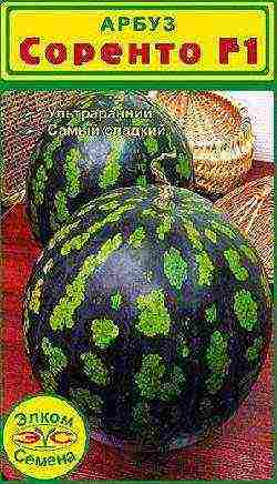 what varieties of watermelons and melons are grown in the middle lane