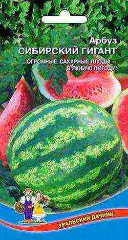 what varieties of watermelons and melons are grown in the middle lane