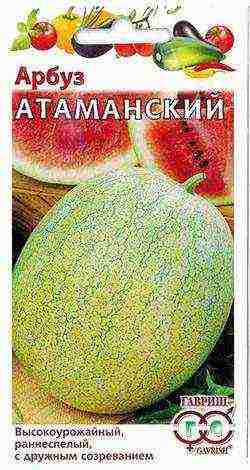 what varieties of watermelons and melons are grown in the middle lane