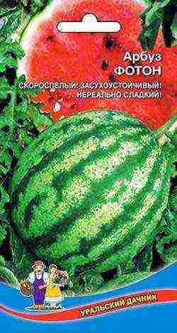 what varieties of watermelons and melons are grown in the middle lane