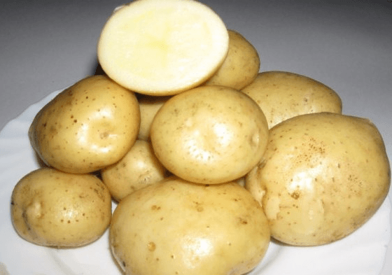 what varieties of potatoes are grown in the Kemerovo region