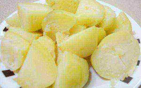 what varieties of potatoes are grown in the Kemerovo region