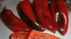 anong mga pagkakaiba-iba ng mga peppers ang lumalaki sa isang polycarbonate greenhouse