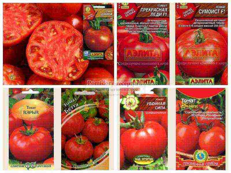 what varieties of tomatoes are best grown outdoors