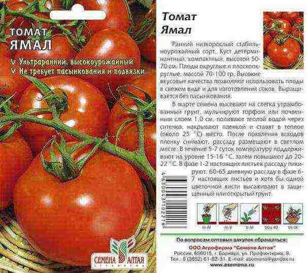 what varieties of tomatoes are best grown outdoors