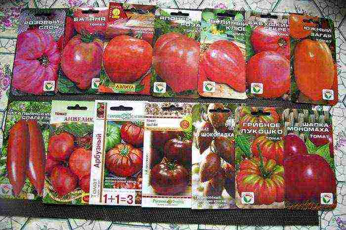 what varieties of tomatoes are best grown outdoors