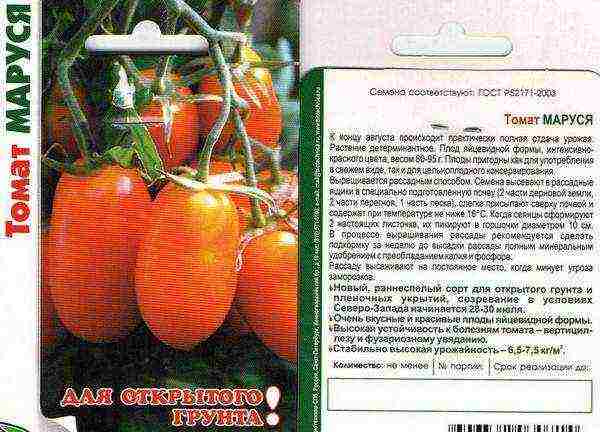 what varieties of tomatoes are best grown outdoors