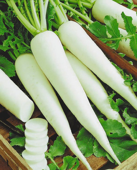 ang pinakamahusay na mga daikon variety