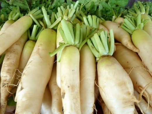 ang pinakamahusay na mga daikon variety