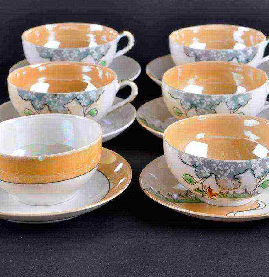 the best varieties of porcelain
