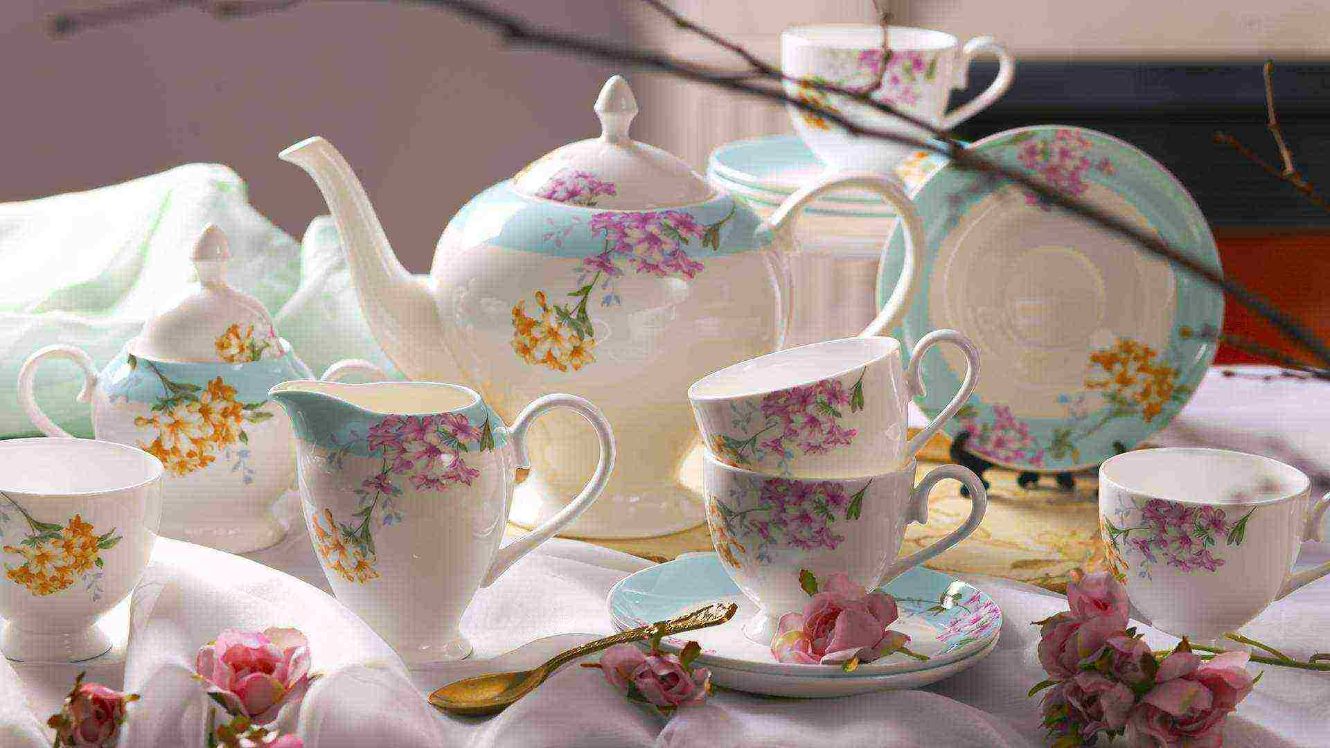 the best varieties of porcelain