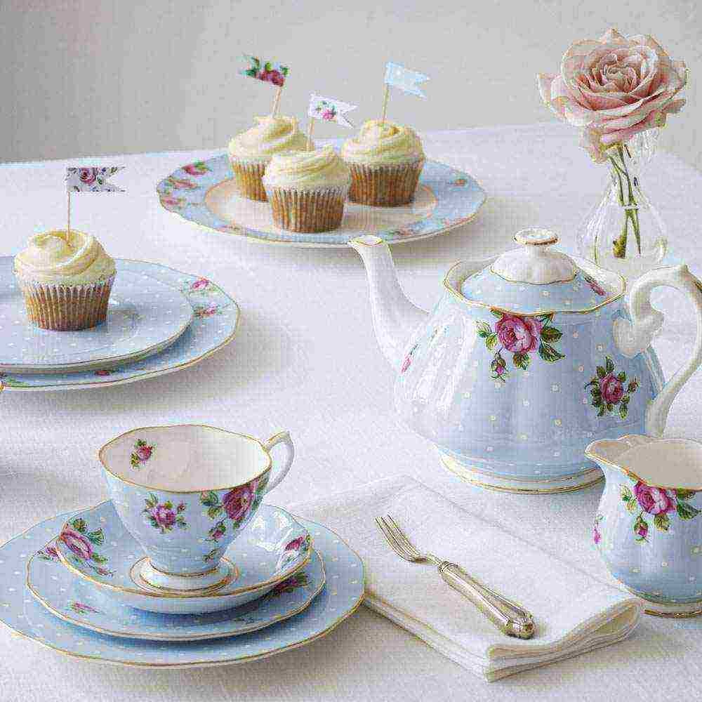 the best varieties of porcelain