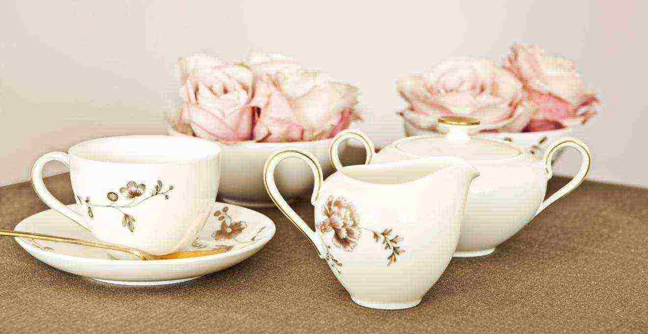 the best varieties of porcelain