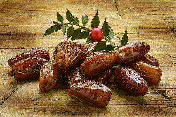 the best varieties of dates