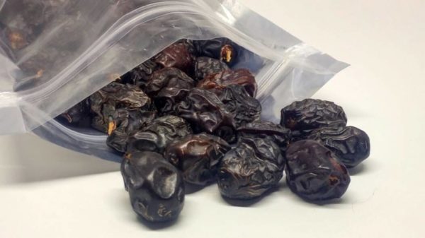 the best varieties of dates