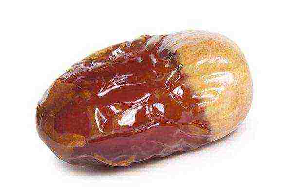 the best varieties of dates