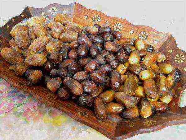 the best varieties of dates