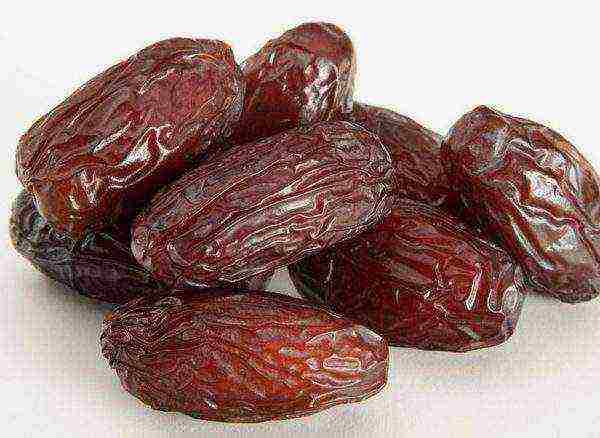 the best varieties of dates
