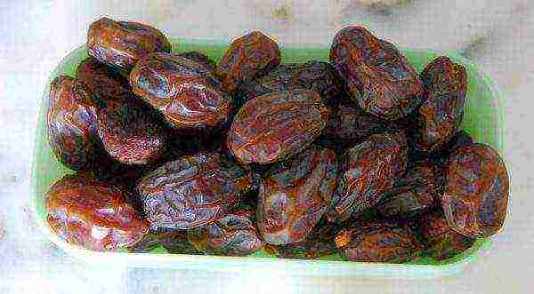 the best varieties of dates