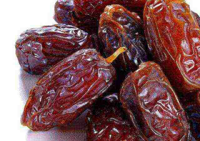 the best varieties of dates