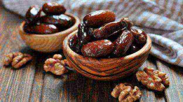 the best varieties of dates