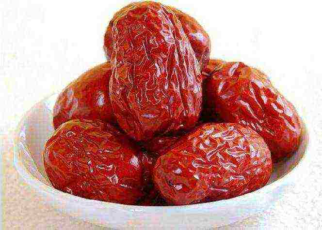 the best varieties of dates