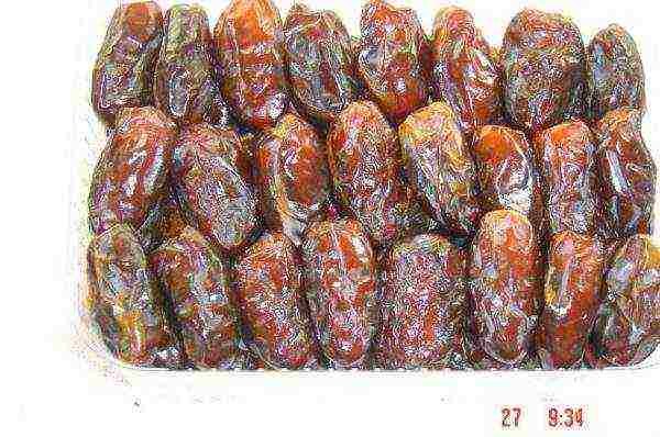 the best varieties of dates