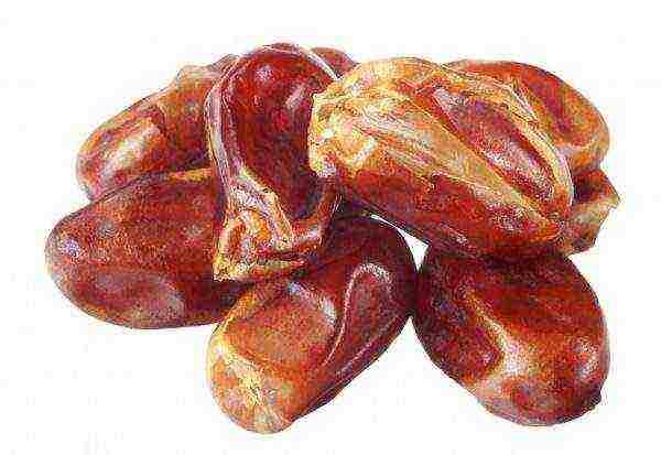 the best varieties of dates