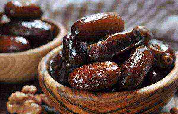 the best varieties of dates