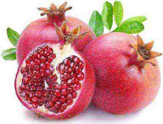 the best varieties of pomegranate